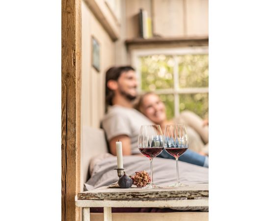 Набор бокалов для красного вина 613 мл, 6 шт., серия Prizma, Schott Zwiesel, фото , изображение 2