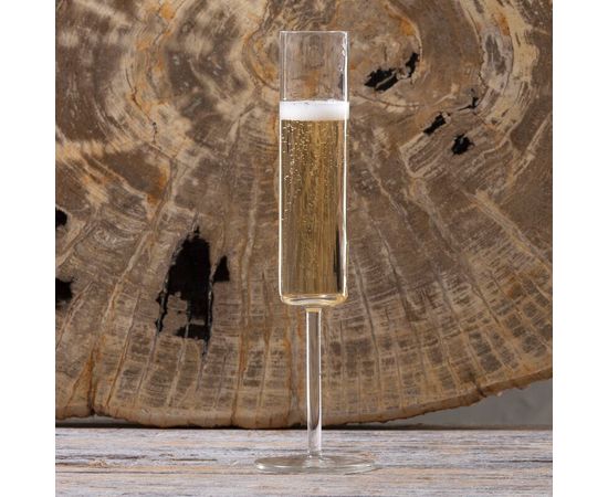 Набор бокалов для шампанского 200 мл, 6 шт., серия Modo, Schott Zwiesel, фото , изображение 3