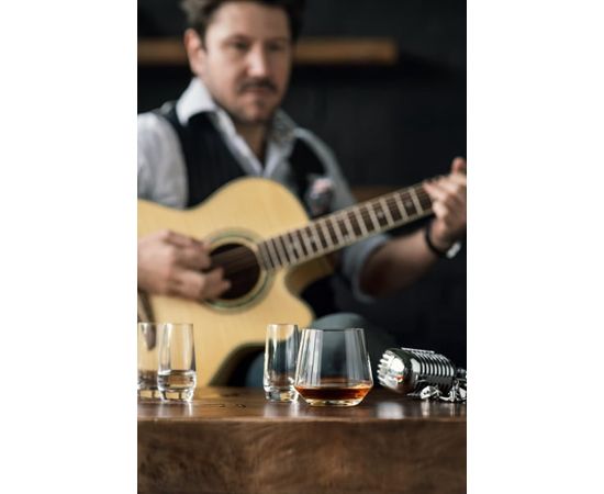 Набор стаканов для виски 389 мл, 6 шт., серия Pure (Belfesta), Schott Zwiesel, фото , изображение 5