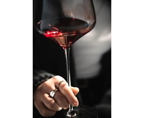 Набор бокалов для Бордо 729 мл, 6 шт, серия Fusion, Schott Zwiesel, фото , изображение 2