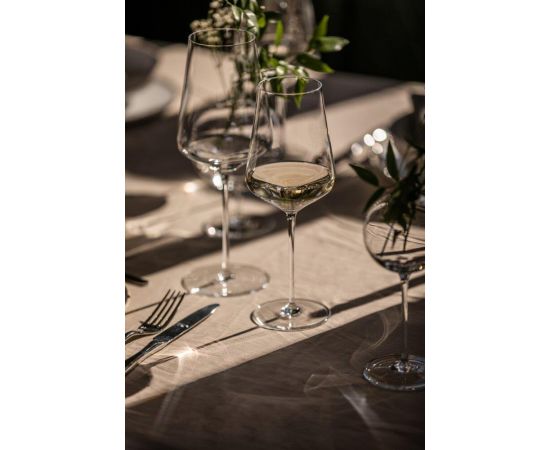 Набор бокалов для Бордо 729 мл, 6 шт, серия Fusion, Schott Zwiesel, фото , изображение 6